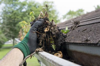 Gutter Cleaning & Repair