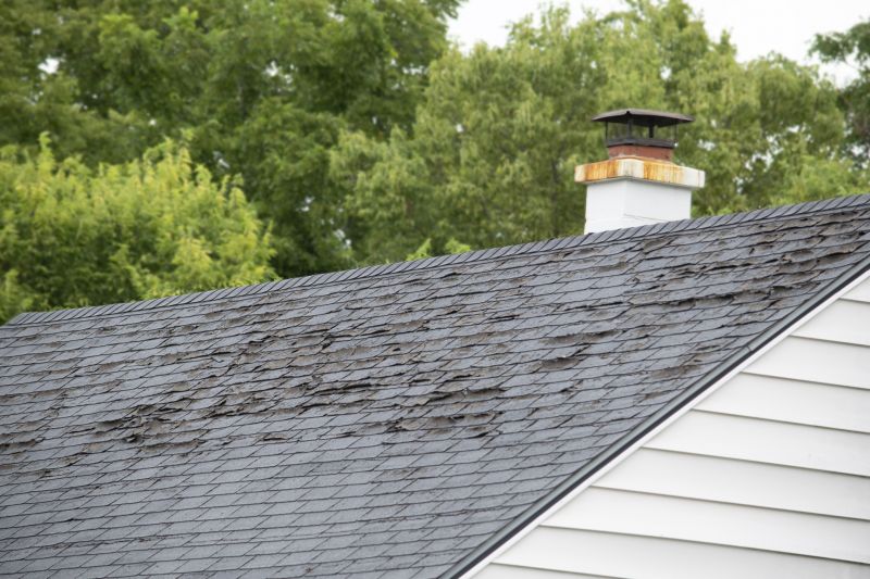 House Roof Repair