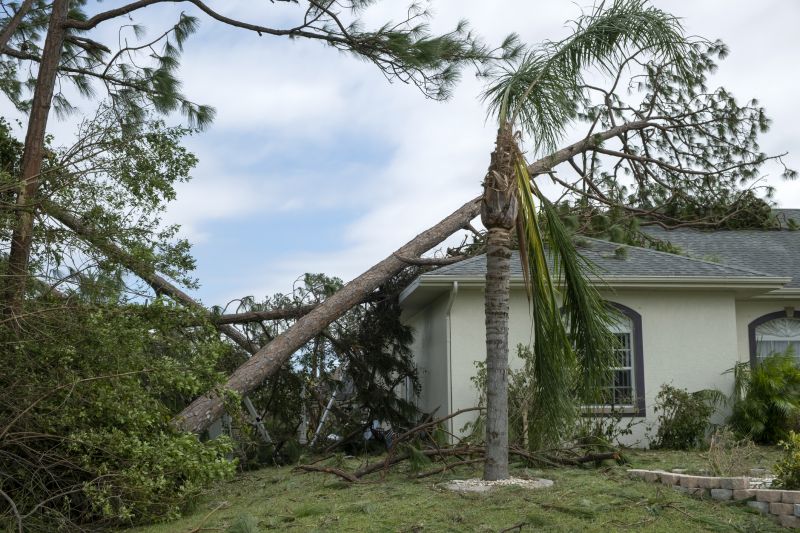Roof Damage Restoration