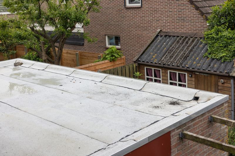 Tpo Roof Repair